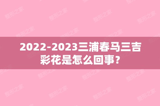 2024三浦春马三吉彩花是怎么回事？